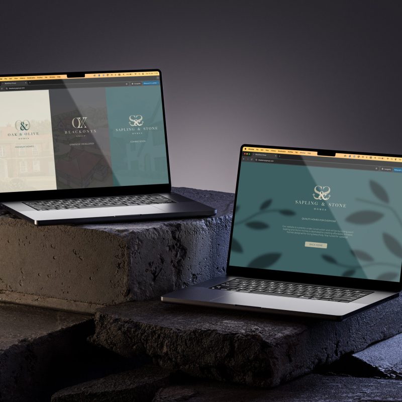 Sapling & Stone - Laptop - Chosen Concept Development Sapling & Stone - Laptop - Chosen Concept Development