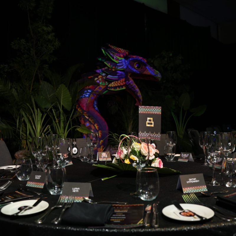 DH6A9081 DH6A9081